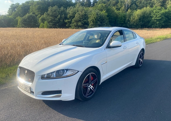 Jaguar XF cena 61500 przebieg: 62000, rok produkcji 2013 z Radomsko małe 137